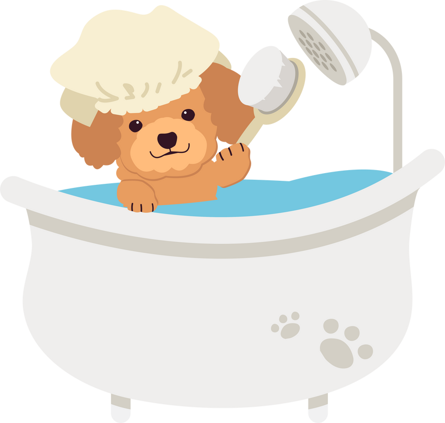 The character of cute poodle in the tube with flat vector style